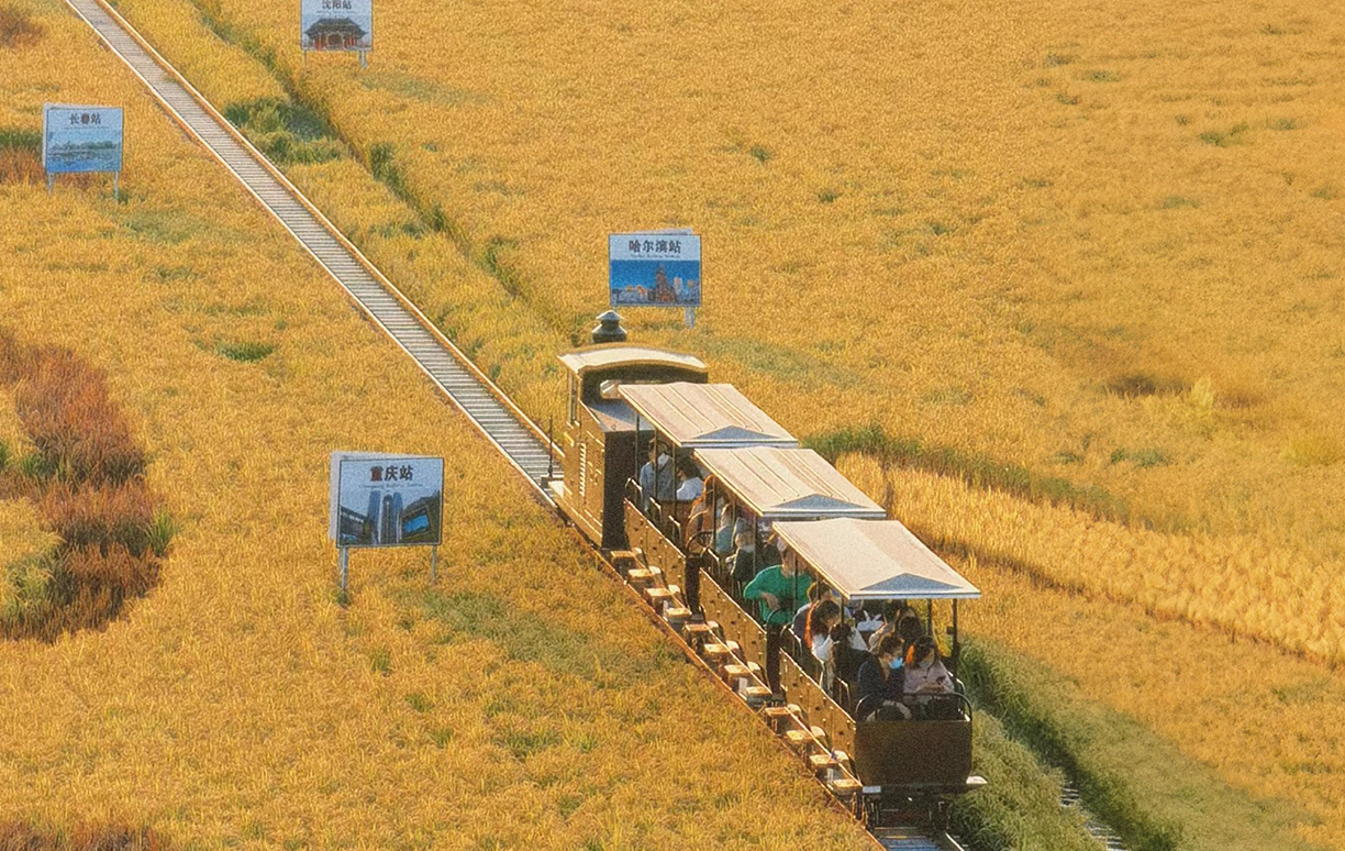 Tren turístico de vía para 36 pasajeros