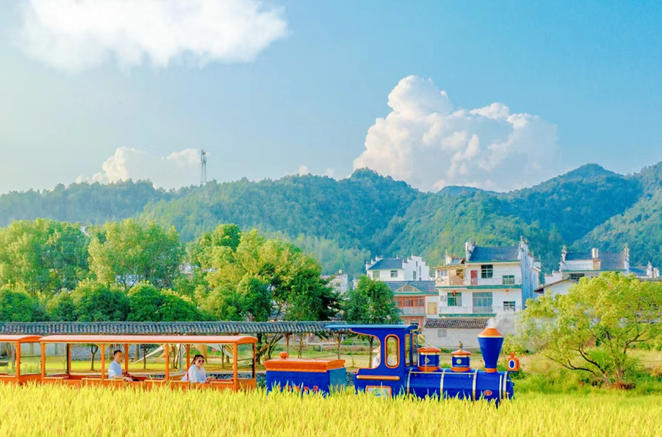 Tren turístico en el campo