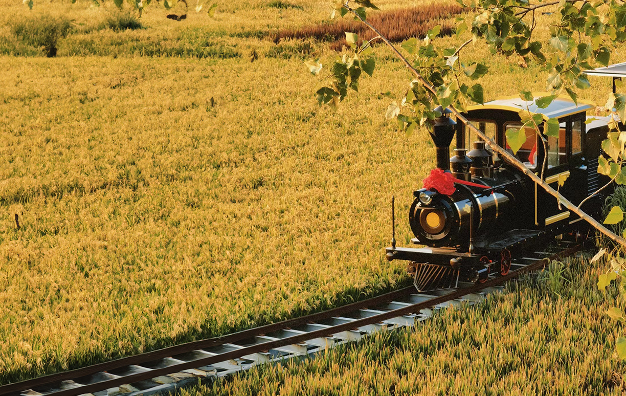 Tren turístico para 36 pasajeros