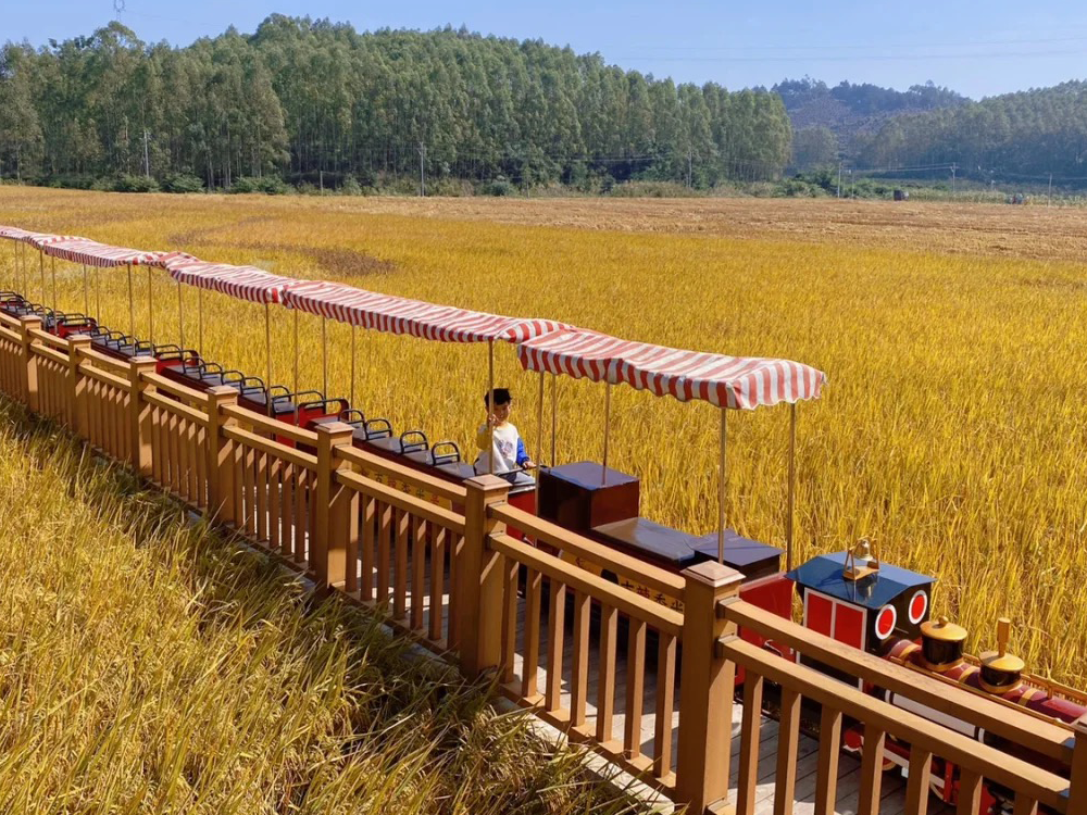 el tren de observación tipo montar en el campo